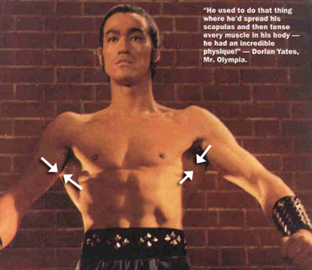 bruce-lee-expansion dorsal La expansión dorsal de Bruce Lee