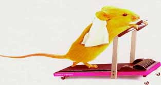 Treadmill-Mouse