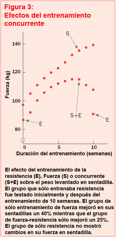 entrenamiento-fuerza-resistencia entrenamiento fuerza resistencia