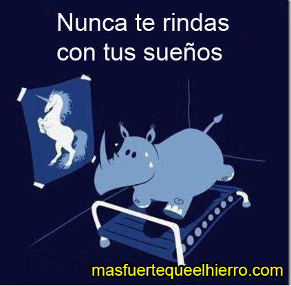no rendirse rinoceronte