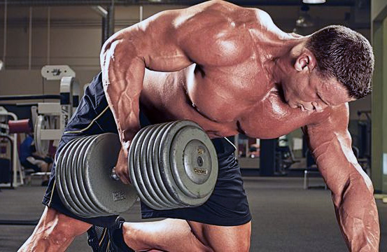 adaptacion-entrenamiento